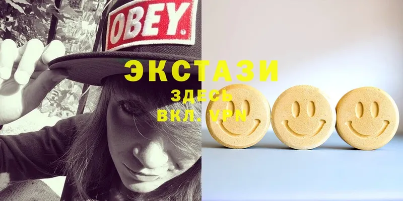 где можно купить   Пудож  Ecstasy Philipp Plein 